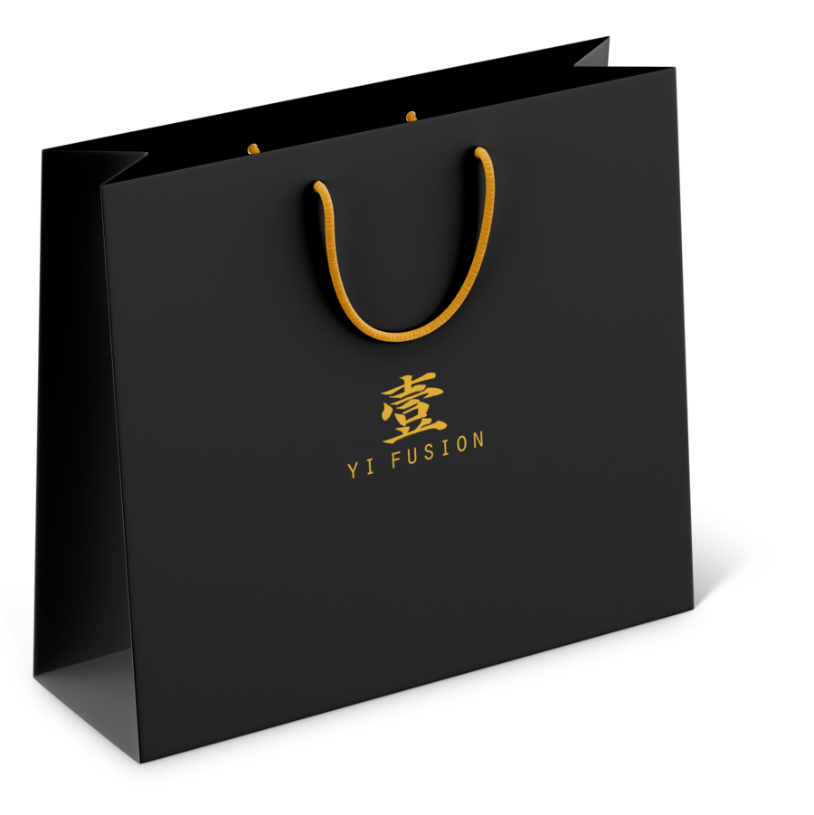 fancy bag