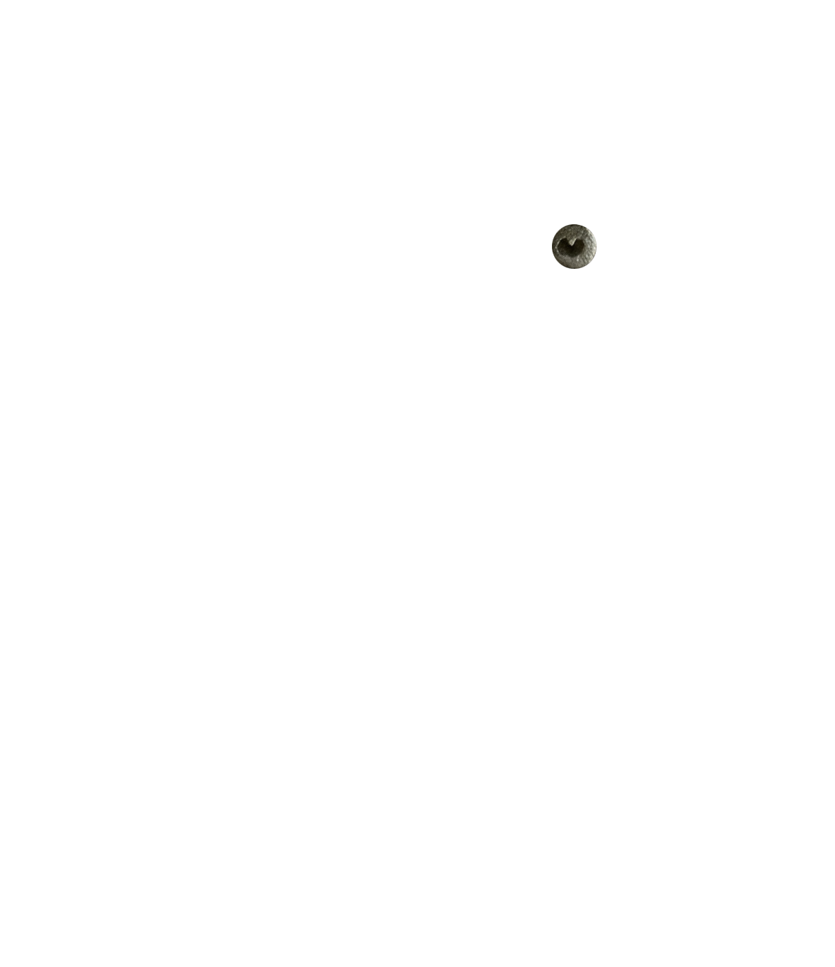 Right Eye